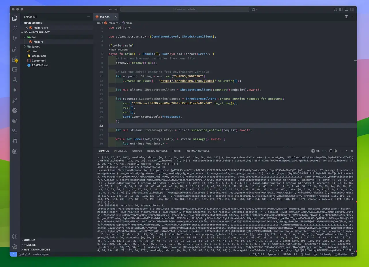 Shreds Rust VSCode